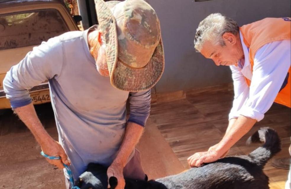 Campanha de Vacinação Antirrábica em Ouvidor .